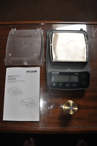 Portable 10 kg capacity electronic Scale