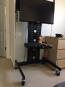 Portable TV/projector Stand