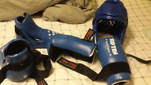 Sparring Gear (regulation Tae Kwon Do sparring gear)