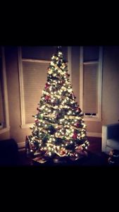 Wanted: Good as new beautiful large Christmas tree with