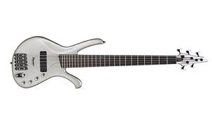 Wanted: Wanted Ibanez Ergodyne 5 string