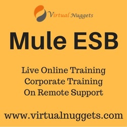 Mule ESB Online Training OFFERED