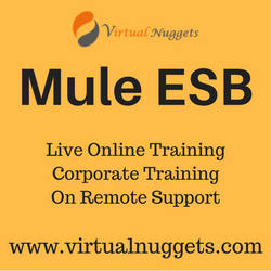 Mule ESB Online Training p VirtualNuggets OFFERED