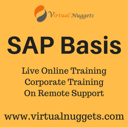 SAP Basis Online Training p VirtualNuggets OFFERED