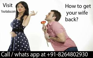 get your wife back by astrology expert   OFFERED