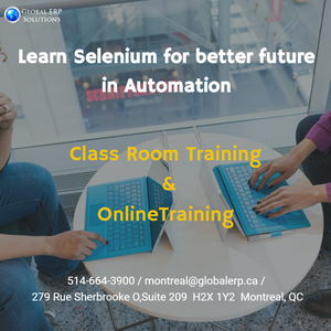 Selenium Beginner level Training in Montreal SERVICES