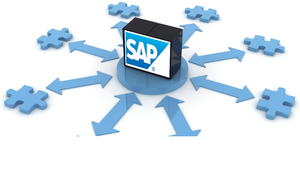 Sap Process Integration for internal and external systems SERVICES