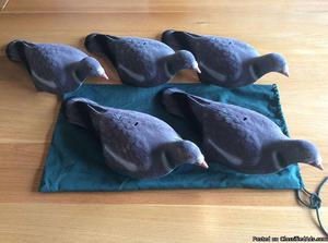 5 x flock coated shell Wood Pigeon decoys