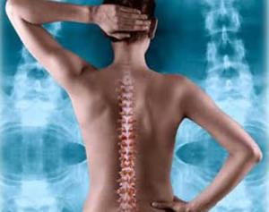 Find Professional Chiropractor Clinic of Lower Back Pain SERVICES