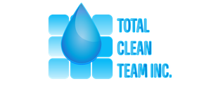 Total Clean Team Inc Mississauga Roof Cleaning SERVICES