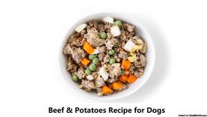 Looking for healthier food for your dogs/cats?