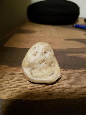 Troll Face Rock