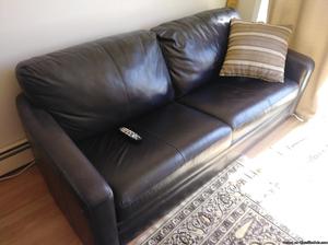 Leather sleep sofa