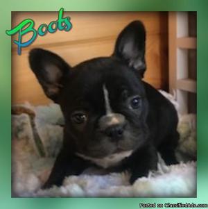 Boots: Female Frenchton