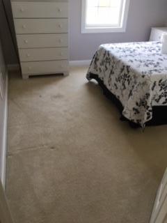 Carpet with Padding