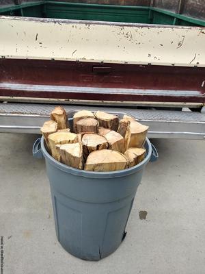 Barrel of Camping Firewood