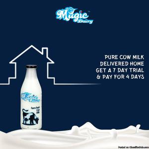 Online Home Milk Delivery Service In Faridabad