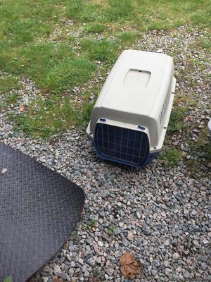 small transport kennel