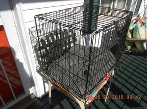 Metal Dog Cage