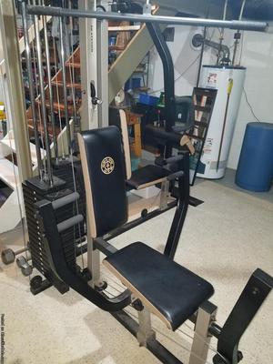 Golds XR66 Home Gym