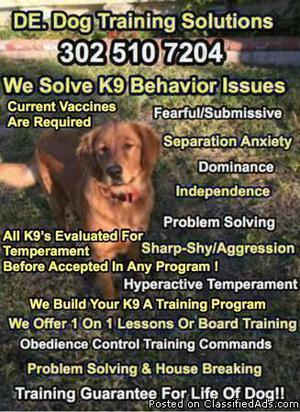 Working with your dog's Behavior