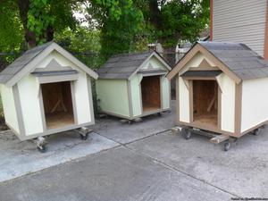 dog houses for sale