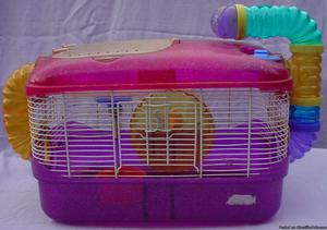1-Story Crittertrail Cage: Rodent Habitat, Mice Mouse