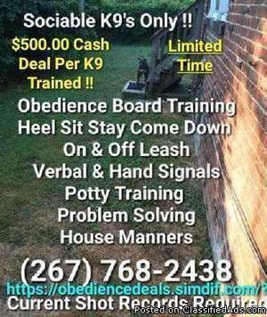 Affordable dog and puppy training guaranteed