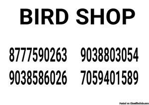 Bird shop in kolkata