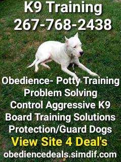 Controlling all dogs problem-solving commands and more