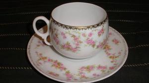 MZ Altrohlau CMR Czechoslovakia Bridal Rose Tea Cup and