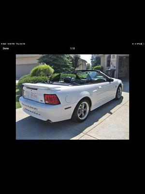 Mustang