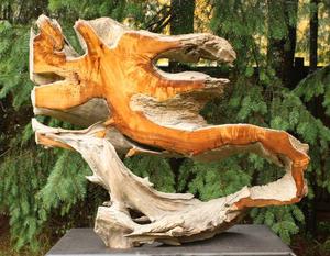 OOAK "Release the Dragons" Cedar Driftwood