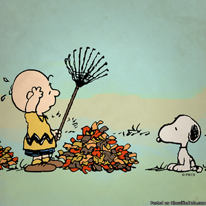 Tired of Raking your Leaves?