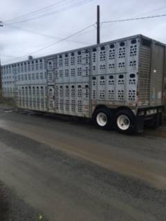 stock trailers