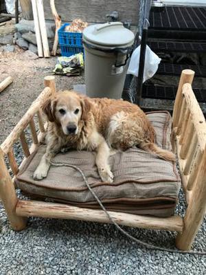 Custom built birch dog bed frame