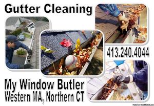 Gutter Cleaning