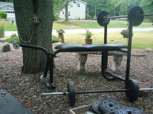 wEIGHT LIFTING BENCH PLUS WEIGHTS