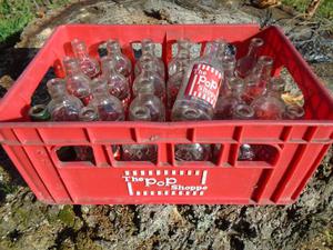 Crate of Pop Shoppe bottles w/crate