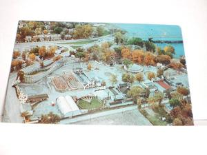 Belmont Park Postcard/unused