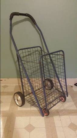 JUST $5! Folding Metal Shopping Cart
