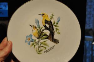 Old Plate Birds