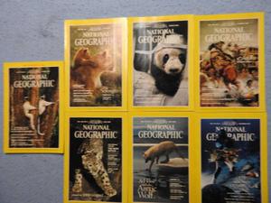 7 National Geographic Magazines-all for $ 2.00