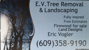 E&V Tree&Landscaping,Leaf cleaups,Snow removal