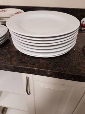 Fine China Porcelain Dinner Plates