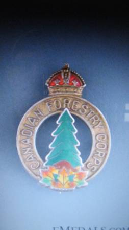 WW2 FORESTRY BADGE