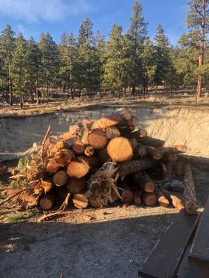 Pine fire wood delivered