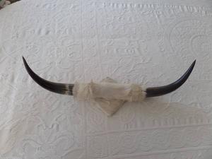 Wall Mounted Horns