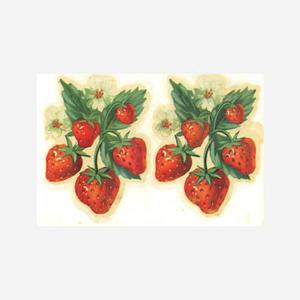 Vintage Strawberry Decals
