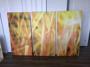 3x Bright Wall Pictures - Large